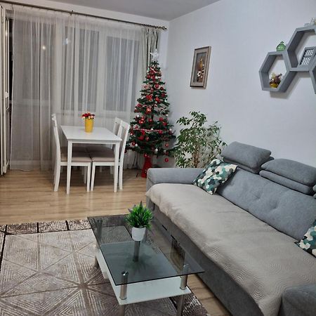 Apartament Ultra Central Marly กูรา ฮูมอรูลุย ภายนอก รูปภาพ